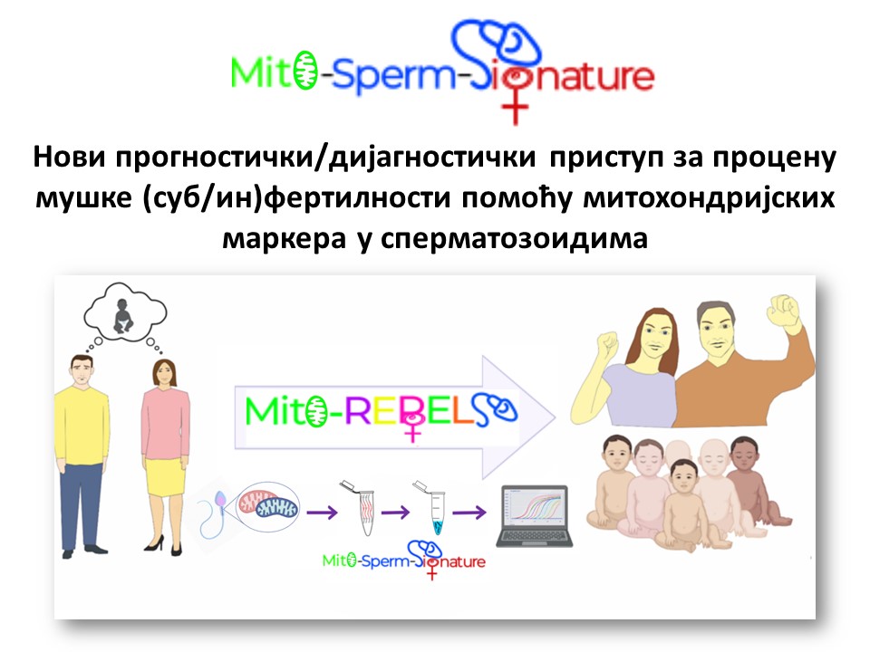 Mito-Sperm-Signature