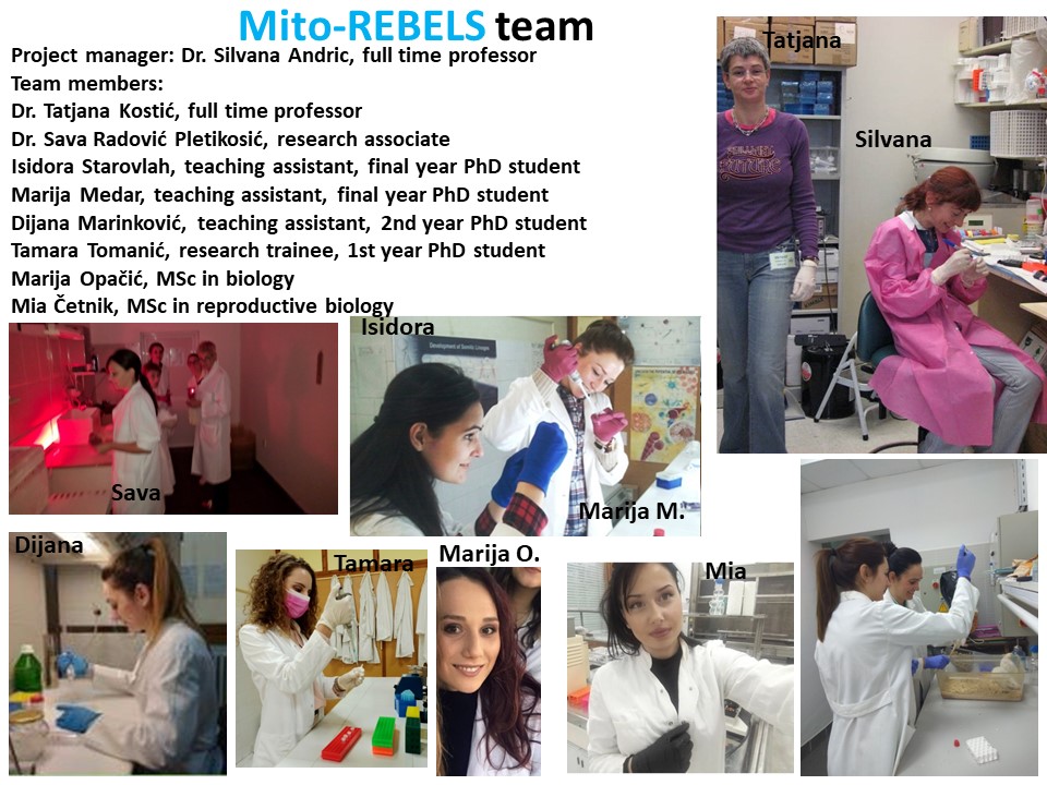 Mito-REBLS team